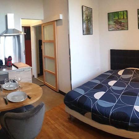 Ferienwohnung Le Studio Du Parc Au Coeur De Chaumont Chaumont  Exterior foto